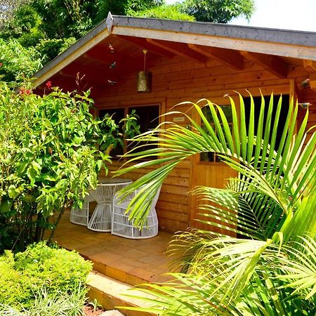Severine Cottages And Lounge Ltd Nairobi Dış mekan fotoğraf