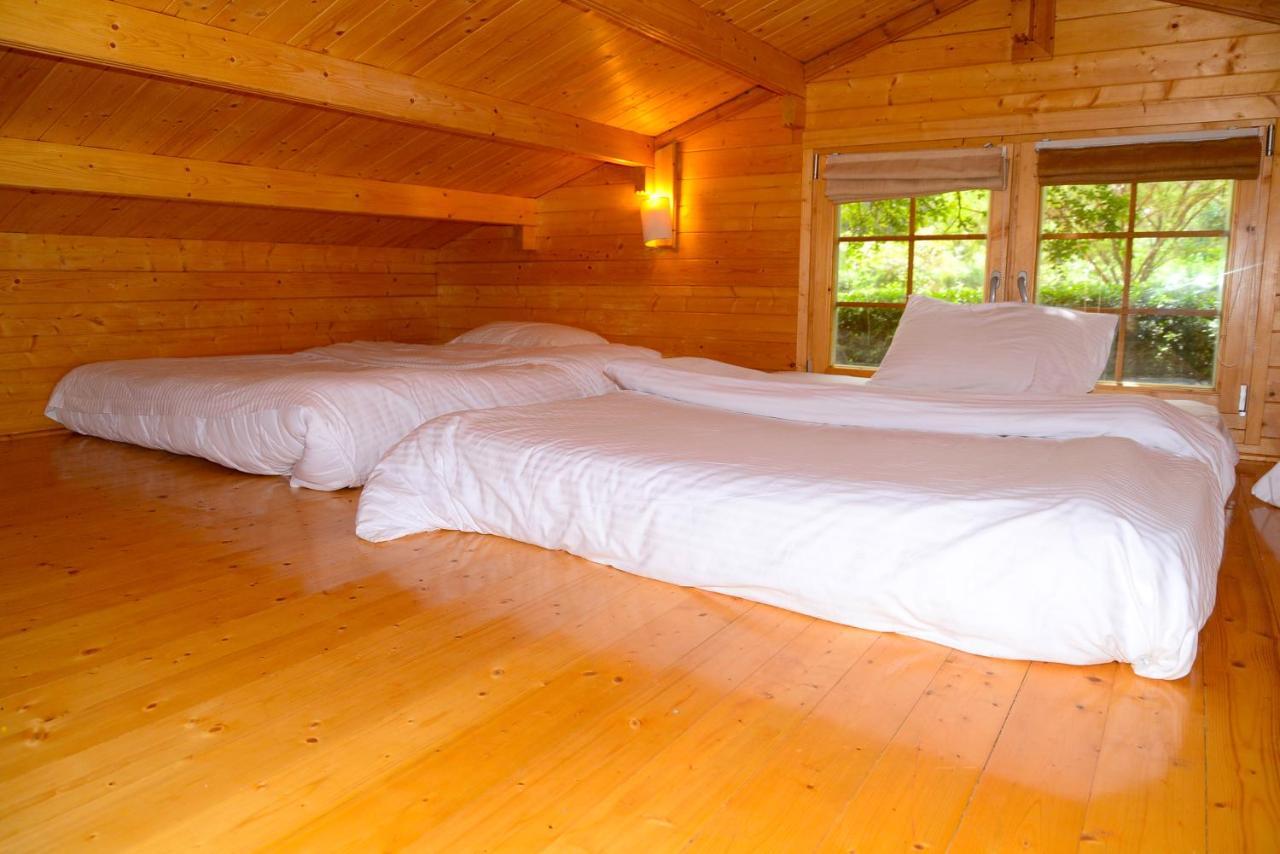 Severine Cottages And Lounge Ltd Nairobi Dış mekan fotoğraf